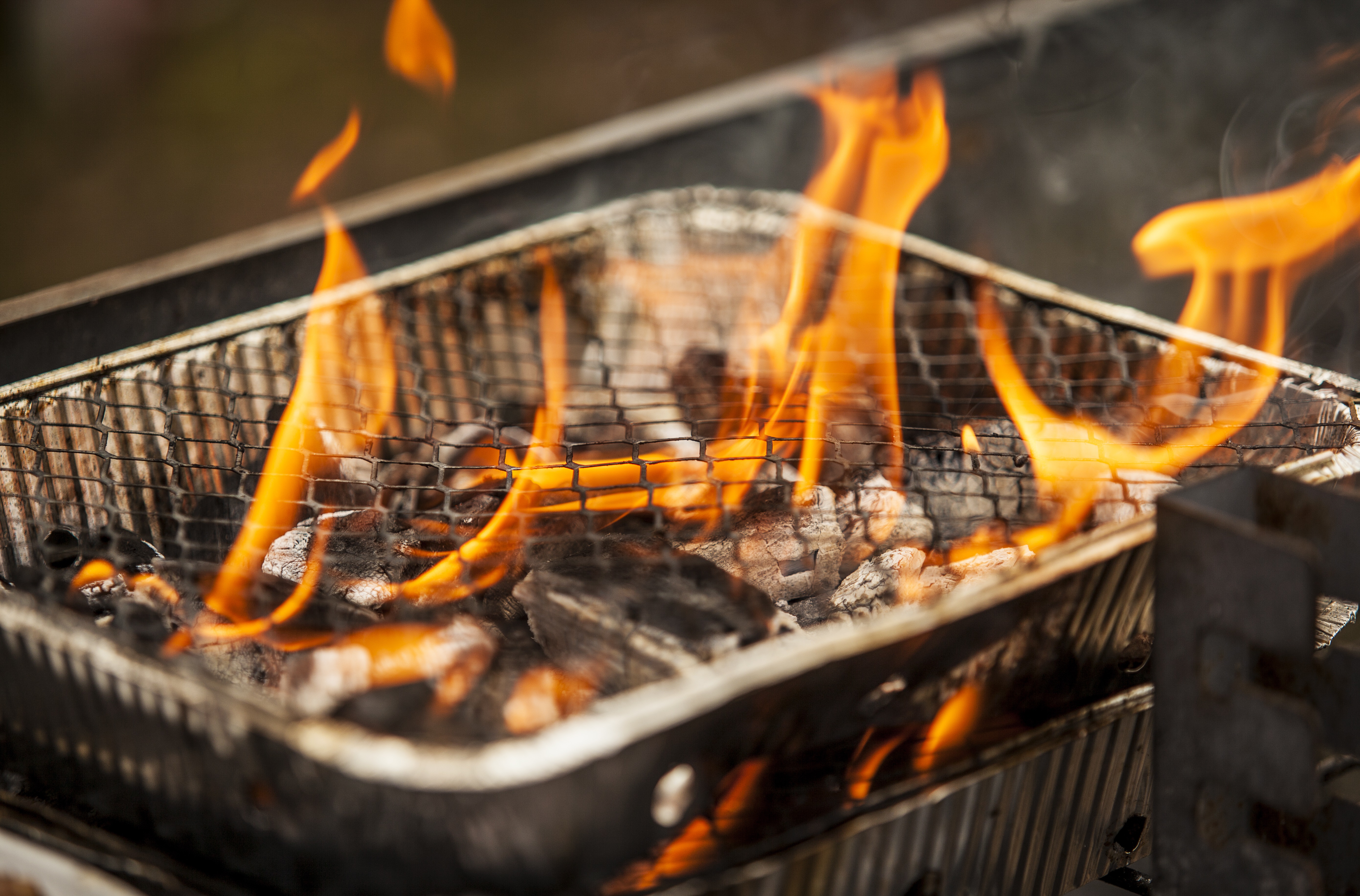 Tougher action on those lighting fires in the New Forest  News  Wave 105