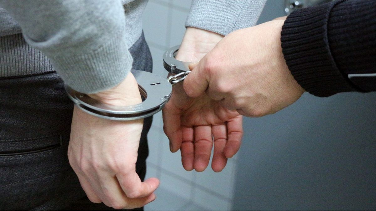 Cannabis plants worth £500k found in Cold Norton | News - Hits Radio ...