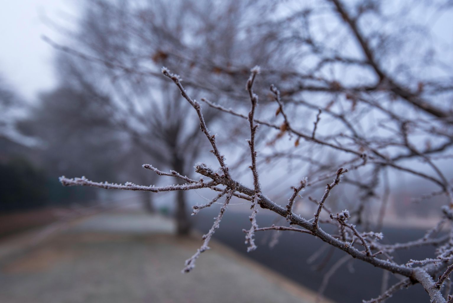 cold-weather-or-just-wimpy-life-and-day-to-day-things-by-a-pond-lover