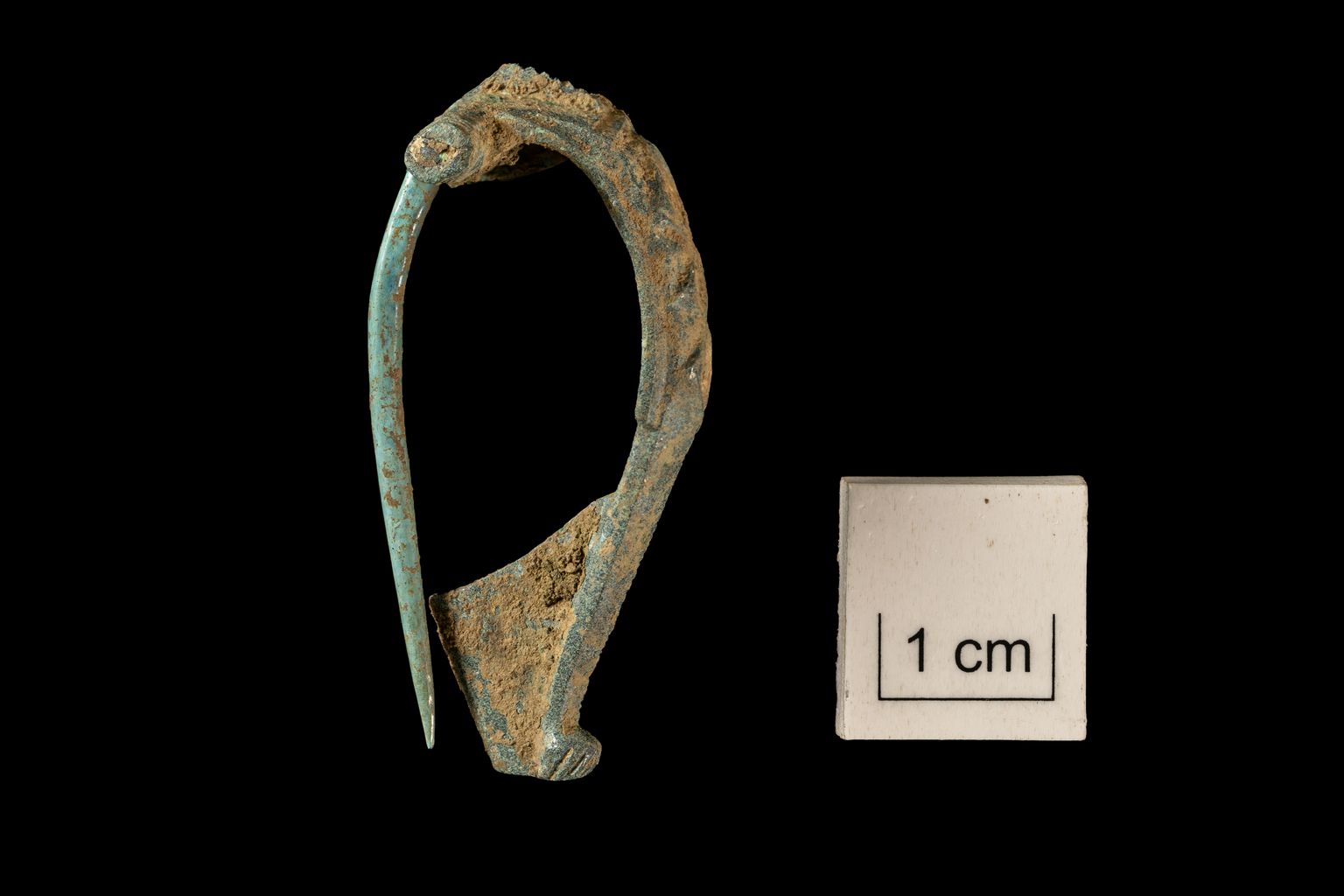 One of the finds by Wessex Archaeology