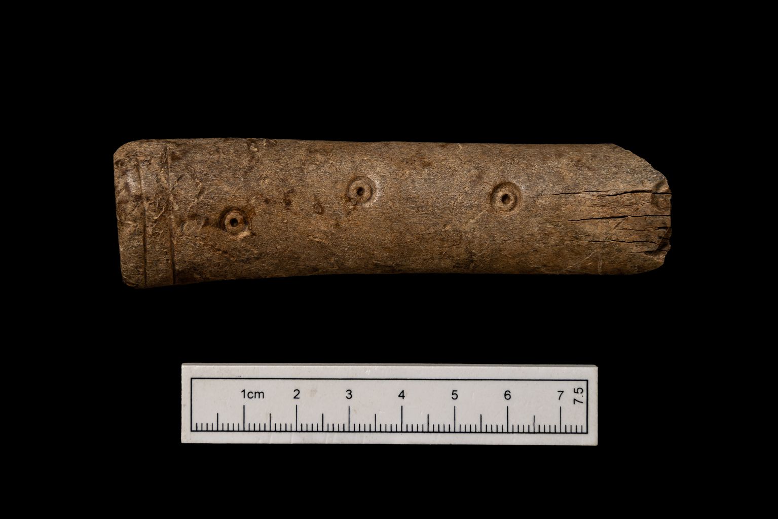 One of the finds by Wessex Archaeology