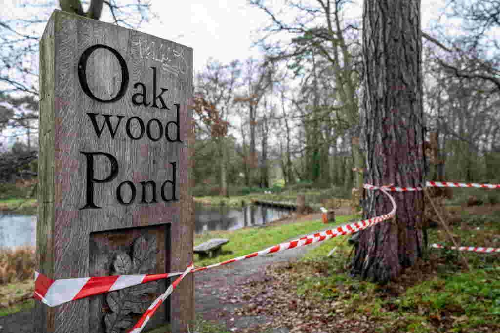 Murder investigation underway after human remains found in pond | News ...