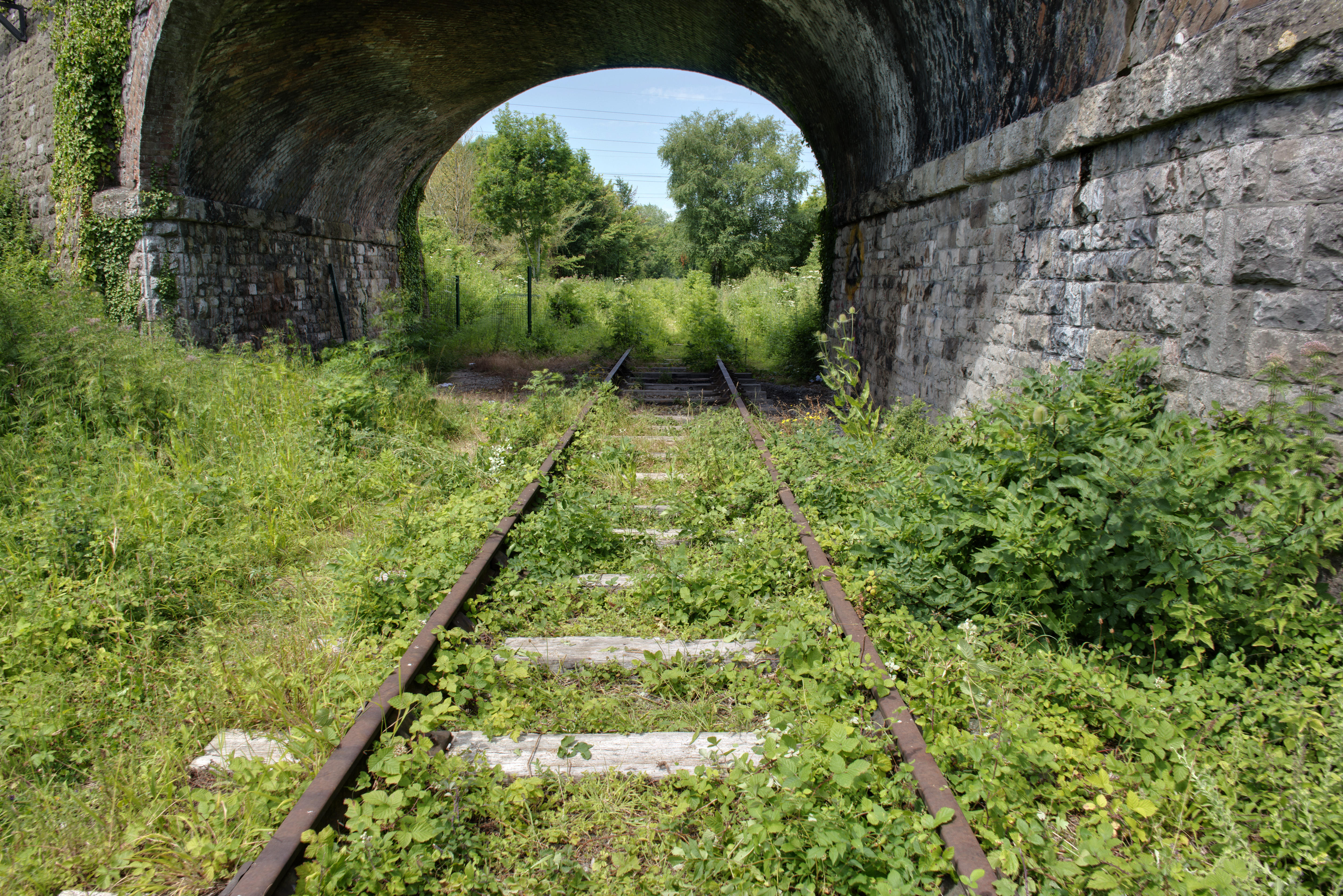 Bristol council leaders back calls for Ashton Gate train station