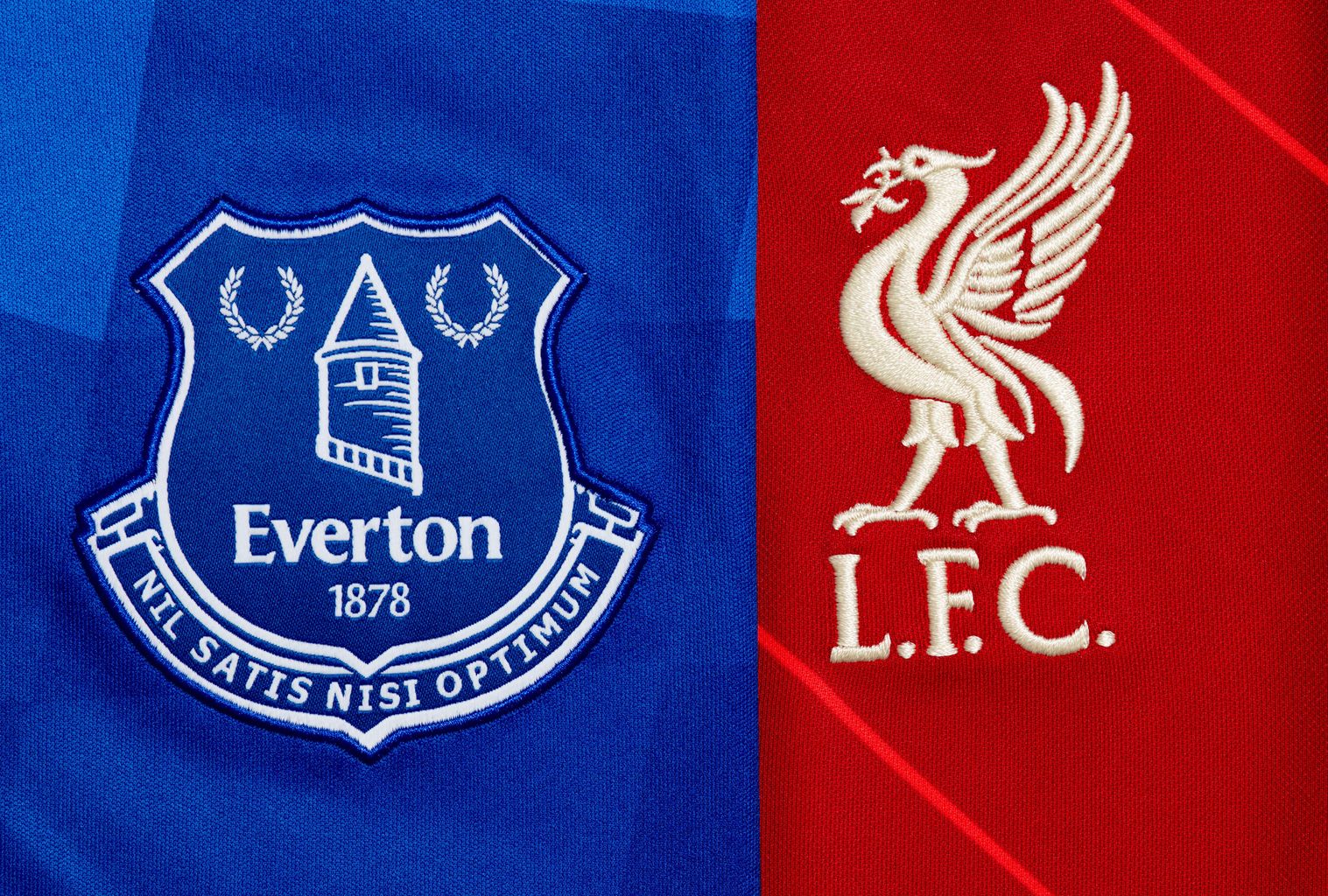 MPs urge Liverpool and Everton to back of fanled review