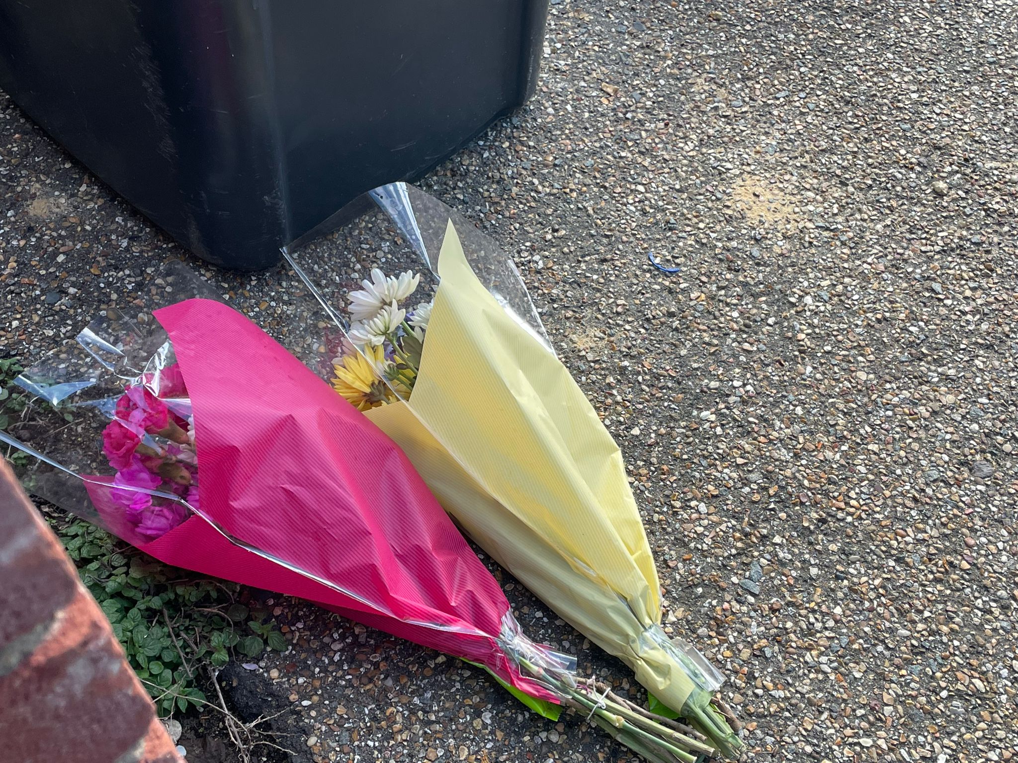 Police confirm two men shot dead in Cambridgeshire are father and son ...