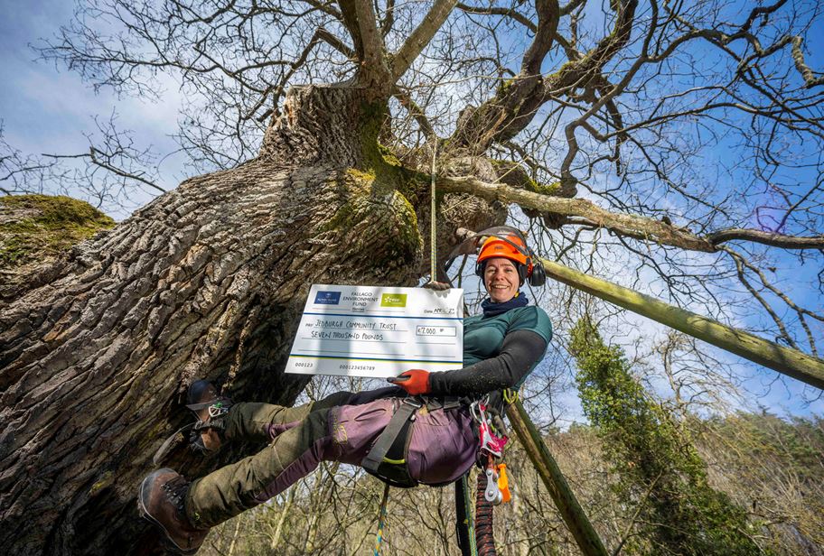 'While The Capon Tree Is Of National Importance, Its Significance In ...