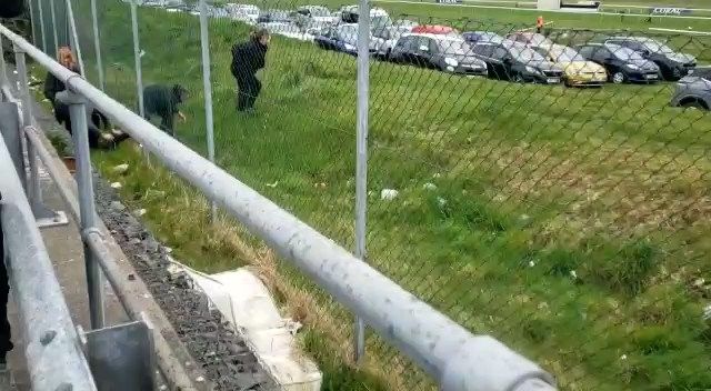 Arrests made as Animal Rising protestors attempt to disrupt Scottish ...