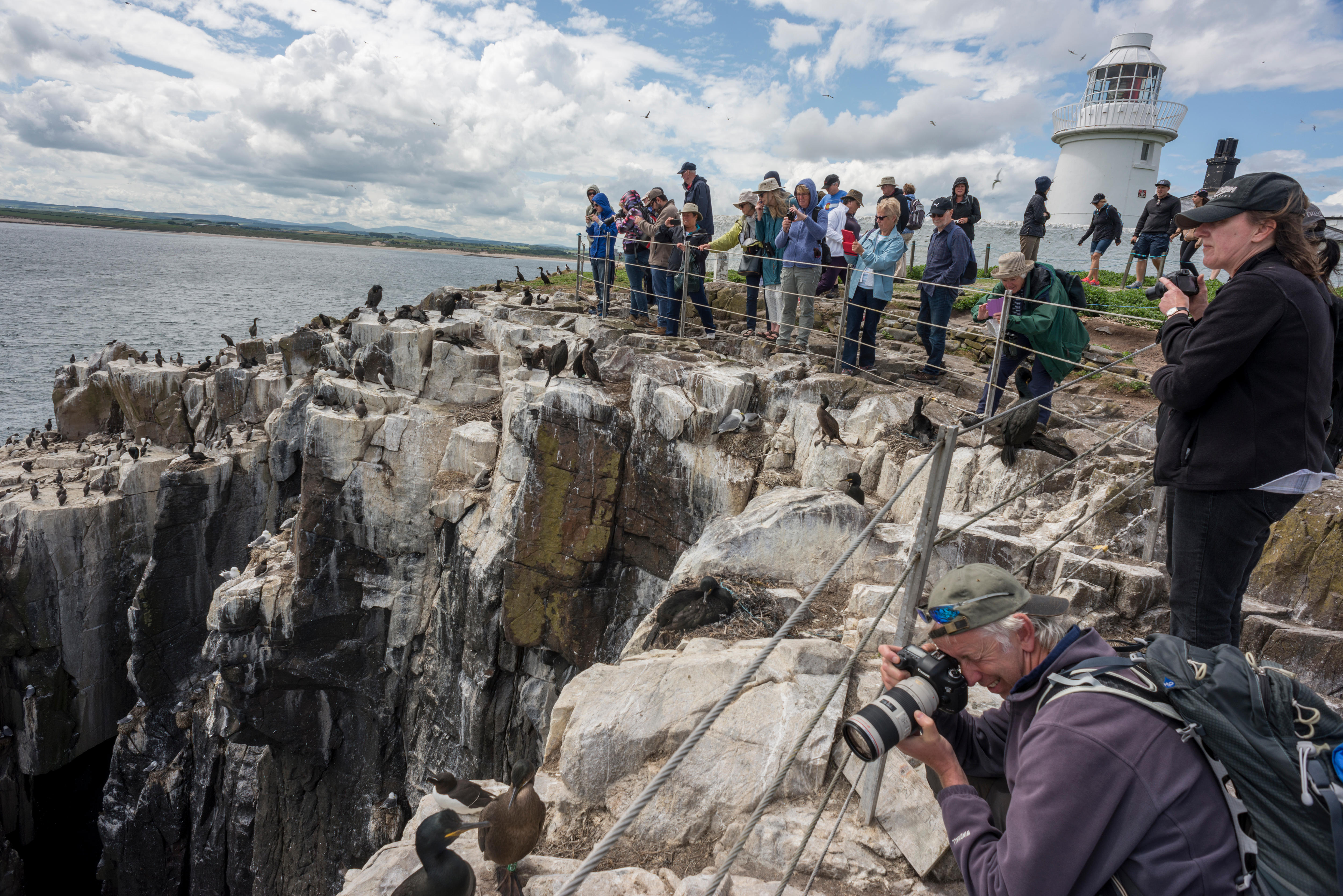 Visitor restrictions extended on Farne Islands after three new