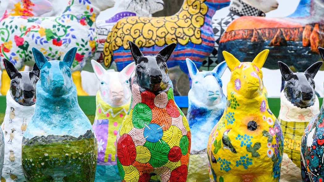 Flock To The Show at The Royal Highland Show Find out more Local