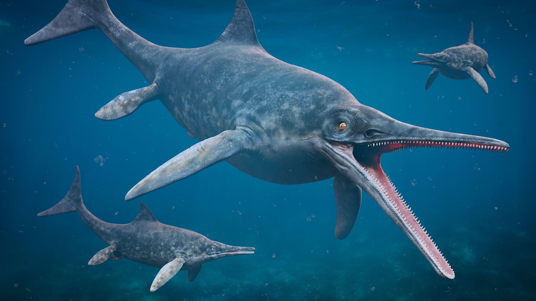 greatest-hits/rutland/local/ichthyosaur-fossil-inspires-new-attraction ...