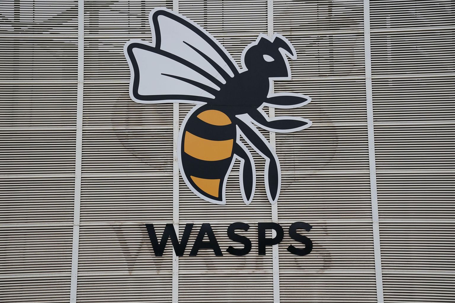 Wasps taken out of the Championship for missing deadline | News