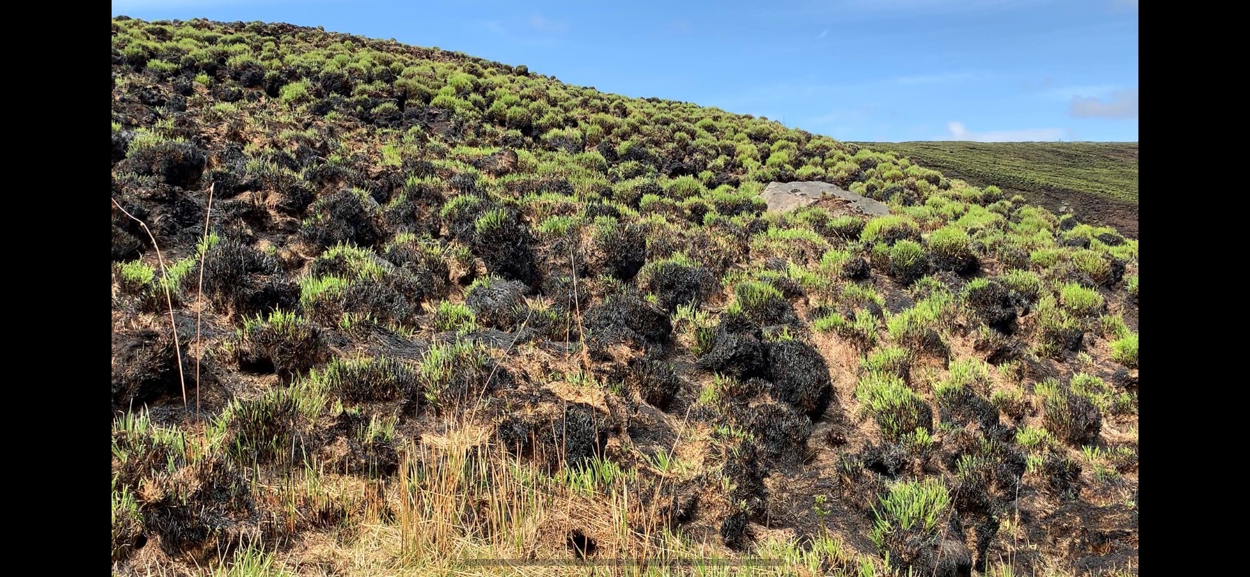 West Yorkshire Fire warns wildfires are 'significant' growing threat News Greatest Hits