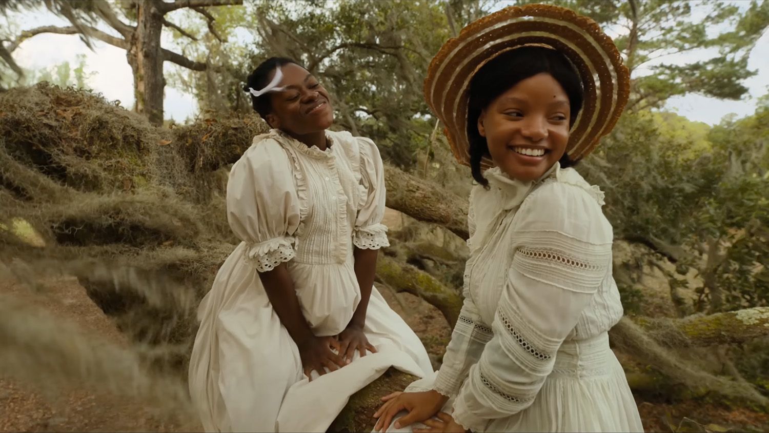 The Color Purple 2023 movie Watch the trailer