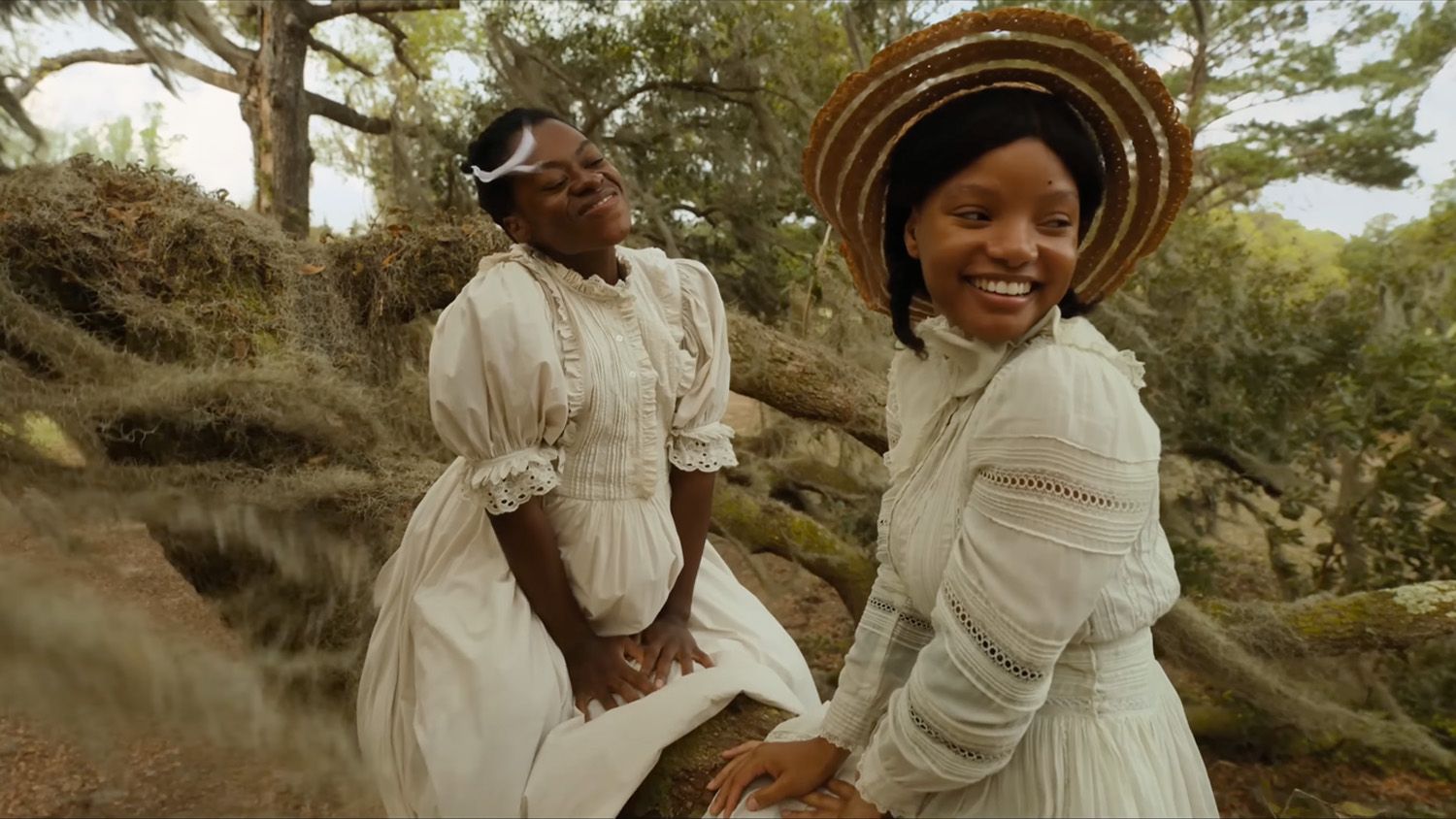 Where Can I Watch The Color Purple 2025 Online Halli Teressa