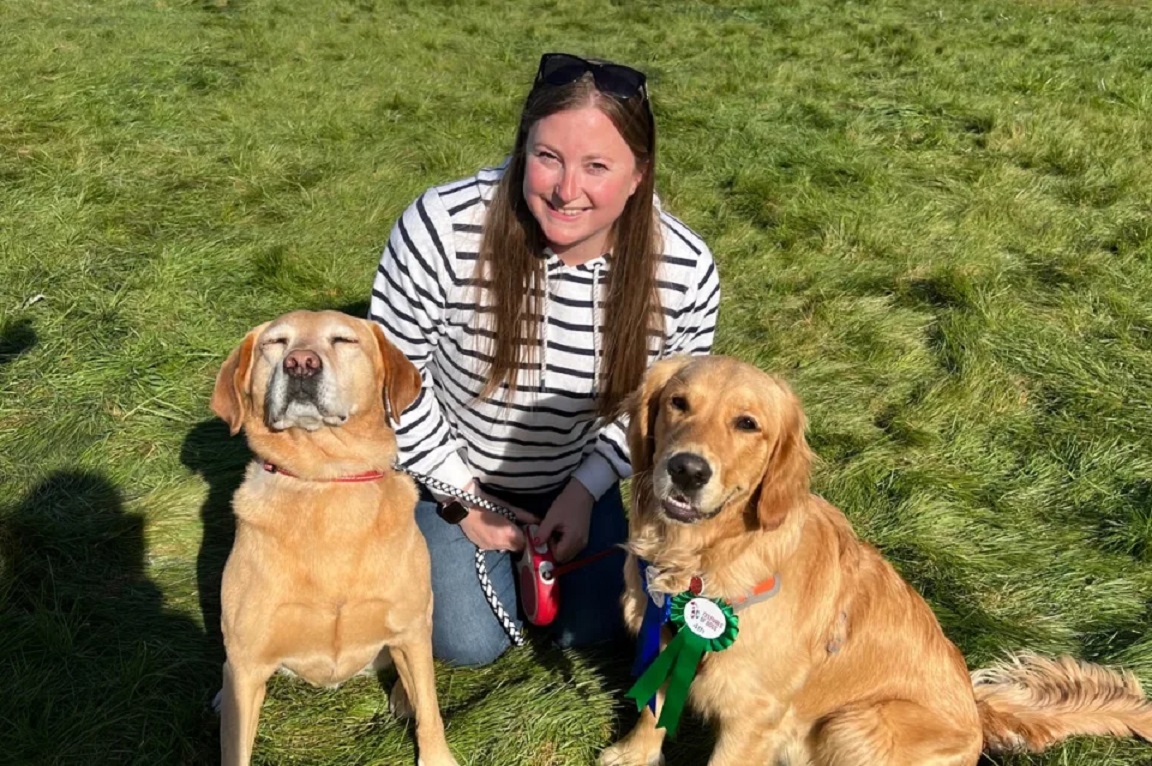 Driver jailed after killing Suffolk woman and three dogs in London ...