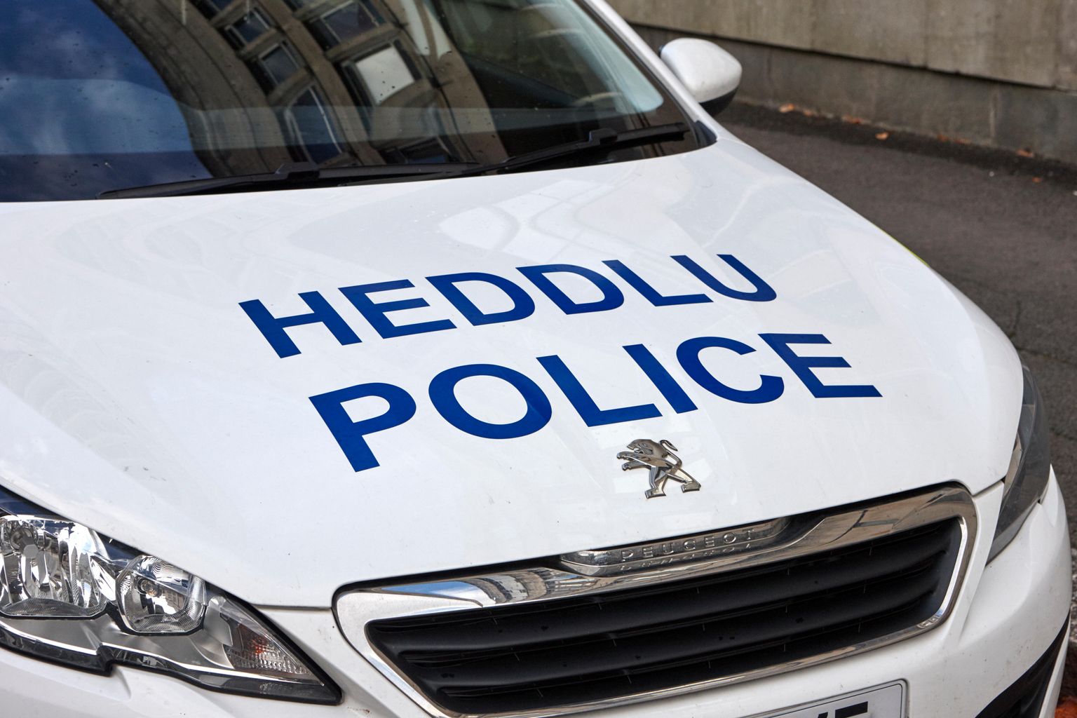 17 males and 3 females, aged between 14 and 36, have been arrested on suspicion of riot and bailed.