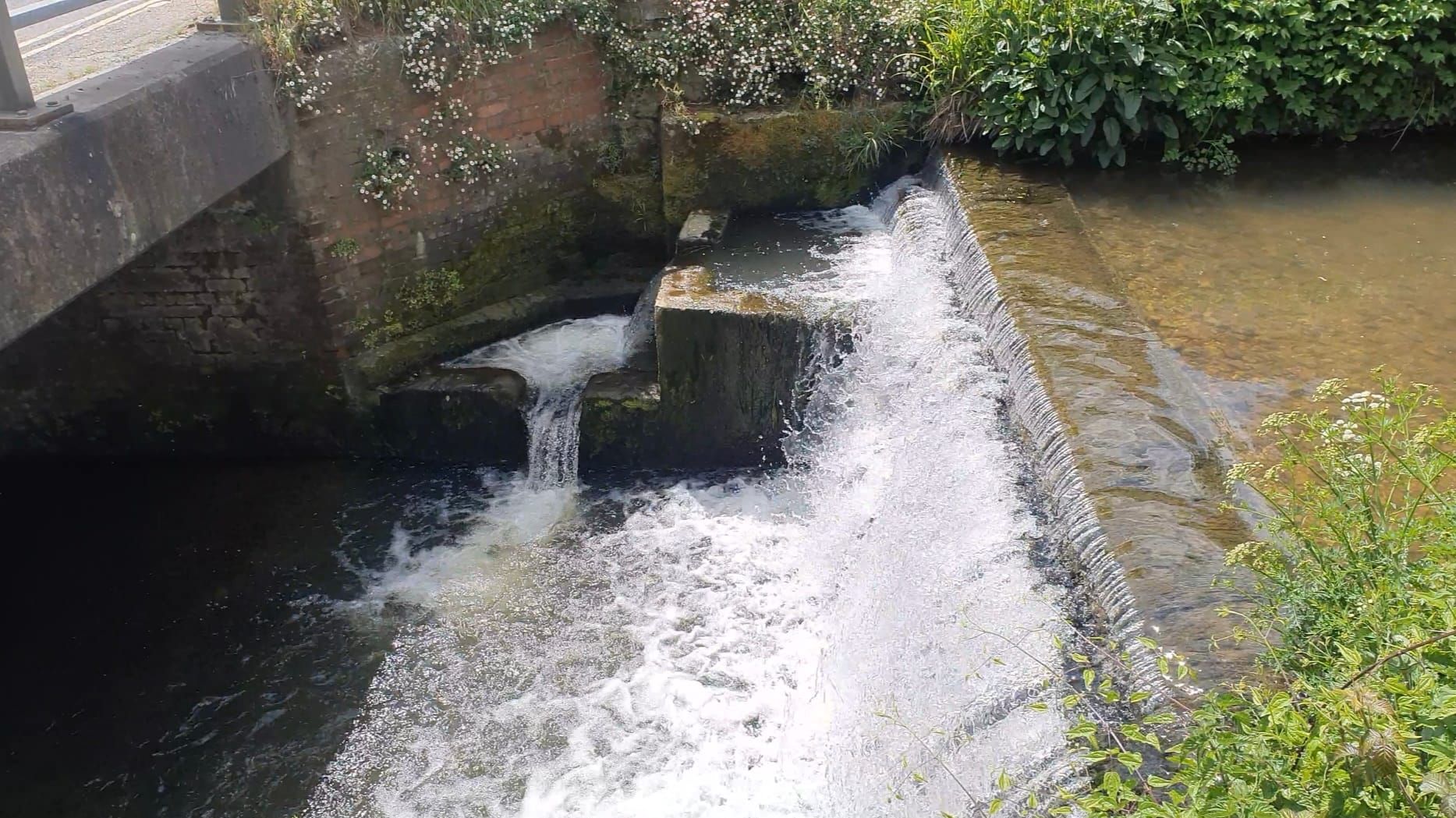 £20M to be spent on cleaning up cleaning up Dorset river classed as ...