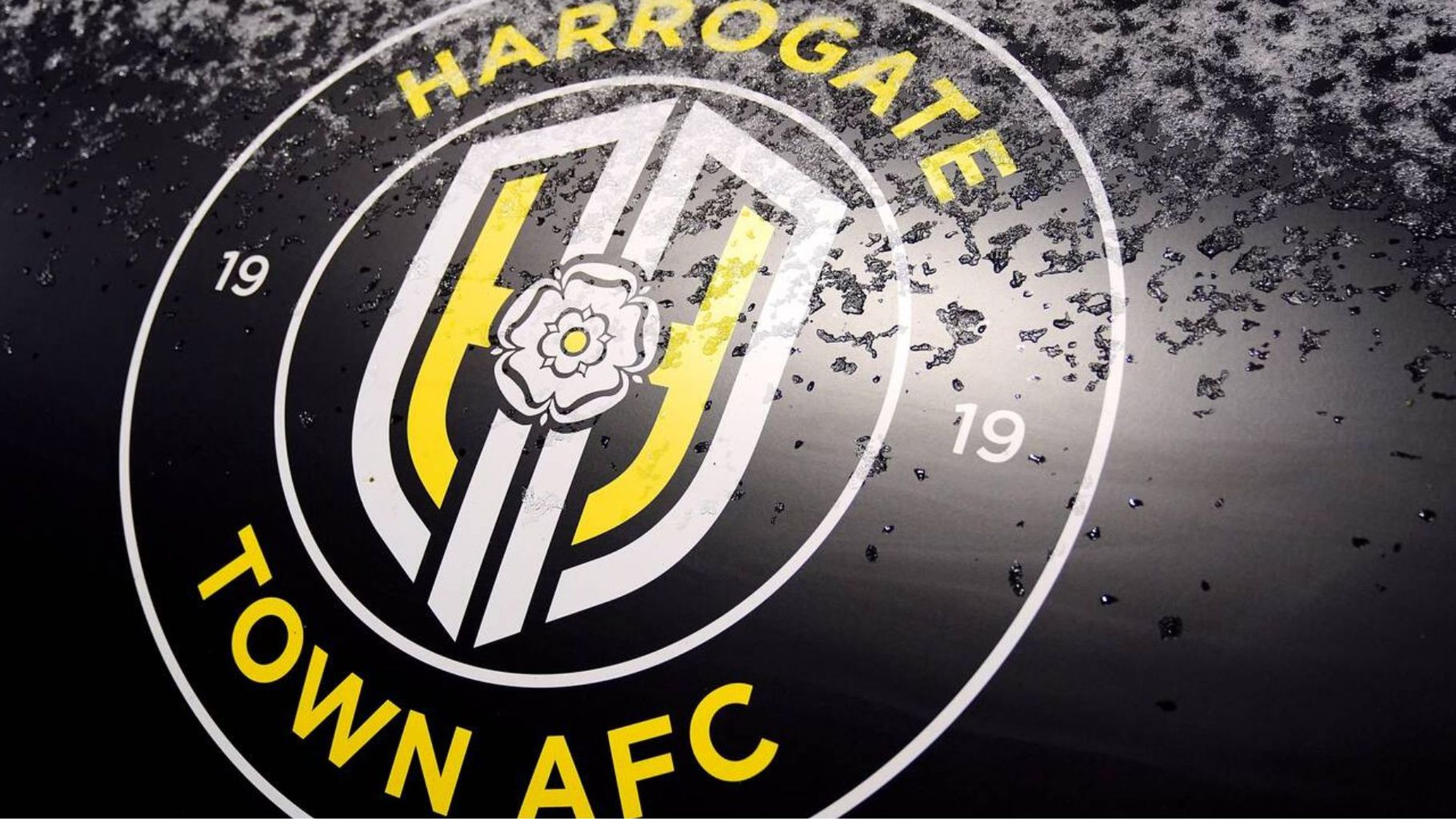 Harrogate Town FC 2023/24 fixtures released News Greatest Hits