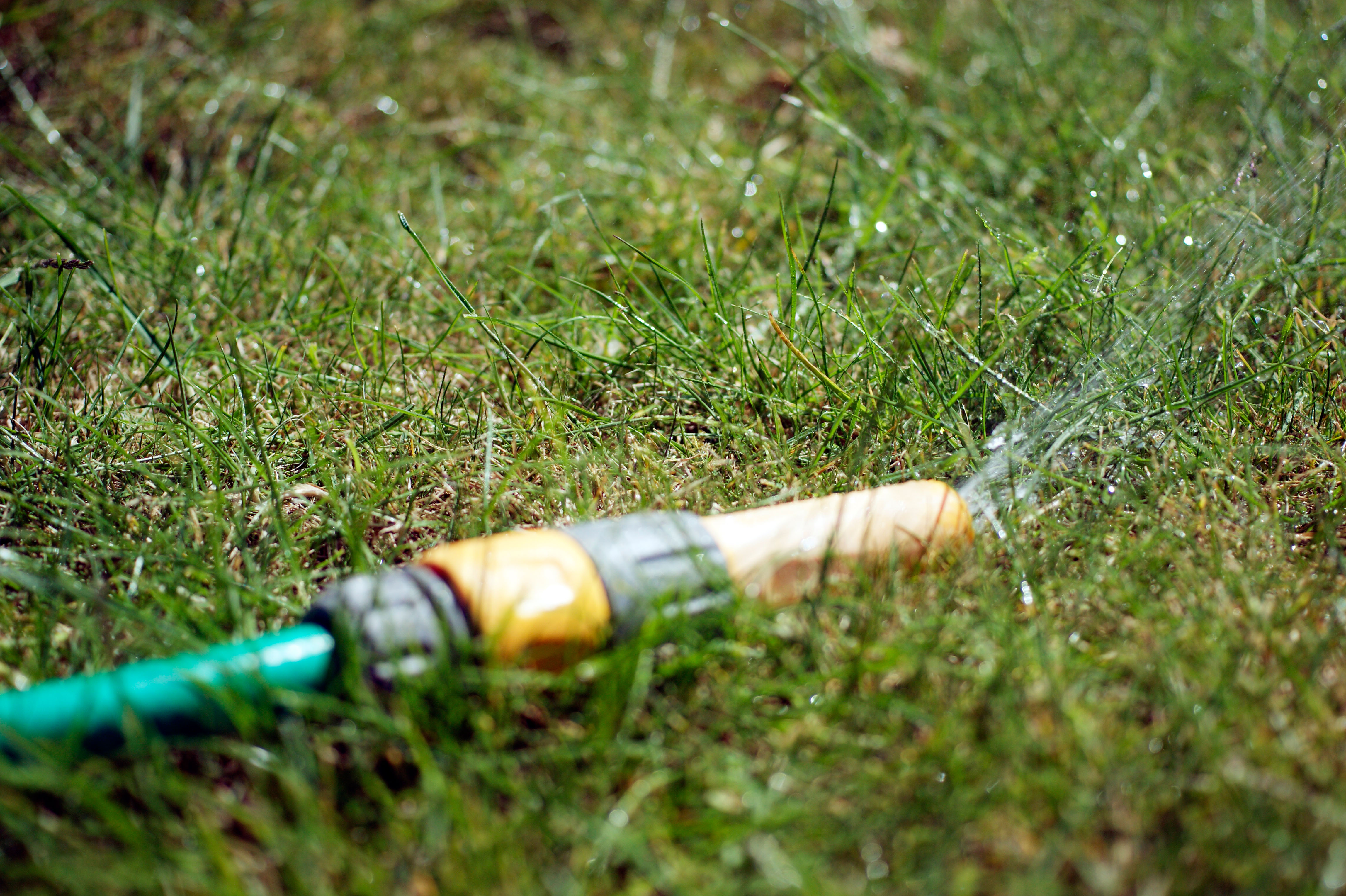 Water scarcity in Scotland worsens despite recent heavy rain News