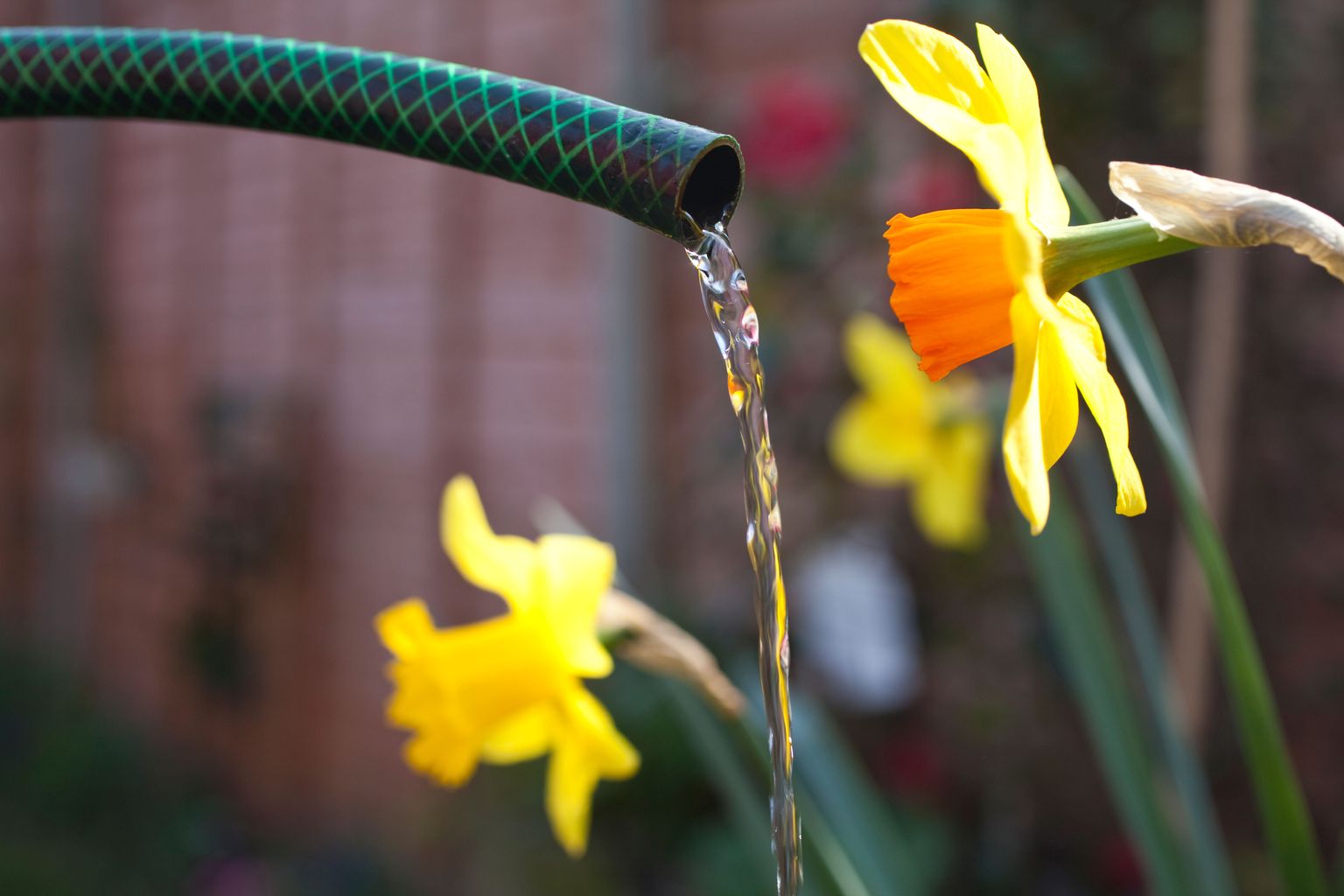 'More people working from home' among reasons for hosepipe ban in parts