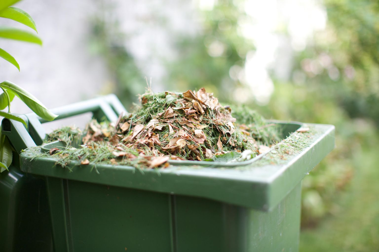 new-wheeled-garden-waste-bins-available-to-nfdc-residents