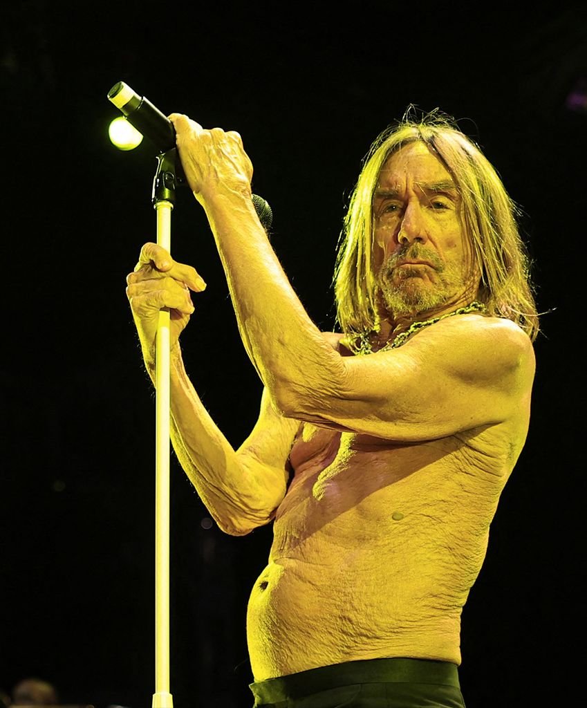 Iggy Pop – The Godfather of Punk 