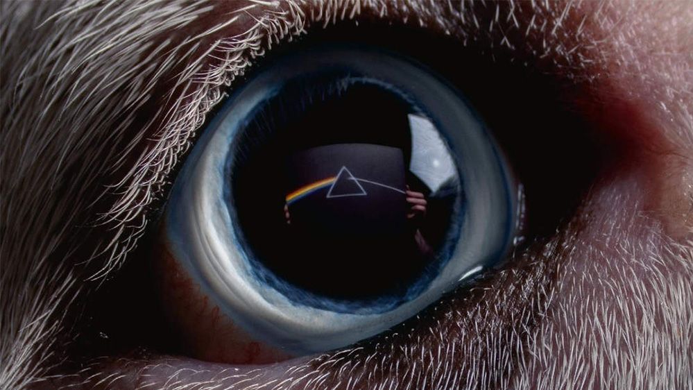 Assassin's Creed Origins Dark Side Of The Moon Roger Waters announces 'The Dark Side of the Moon Redux' and premieres
