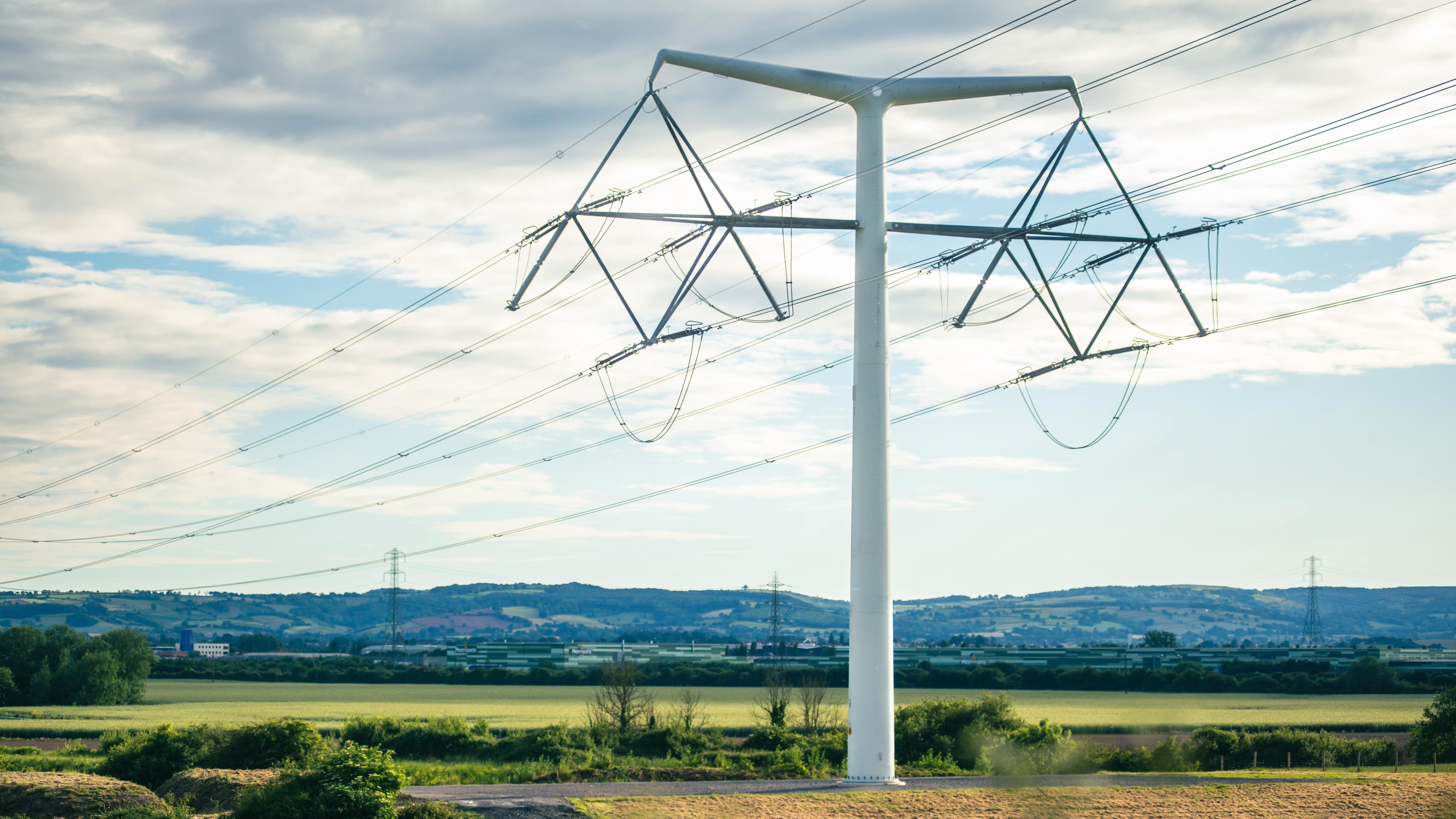 Proposed designs for new pylons cutting across East Anglia revealed ...