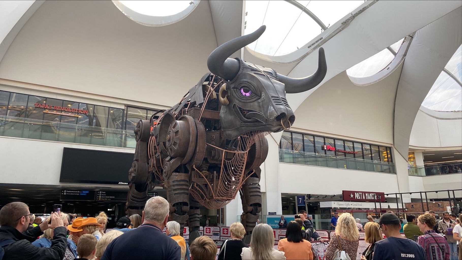 Commonwealth Games bull officially unveiled at Birmingham New Street ...