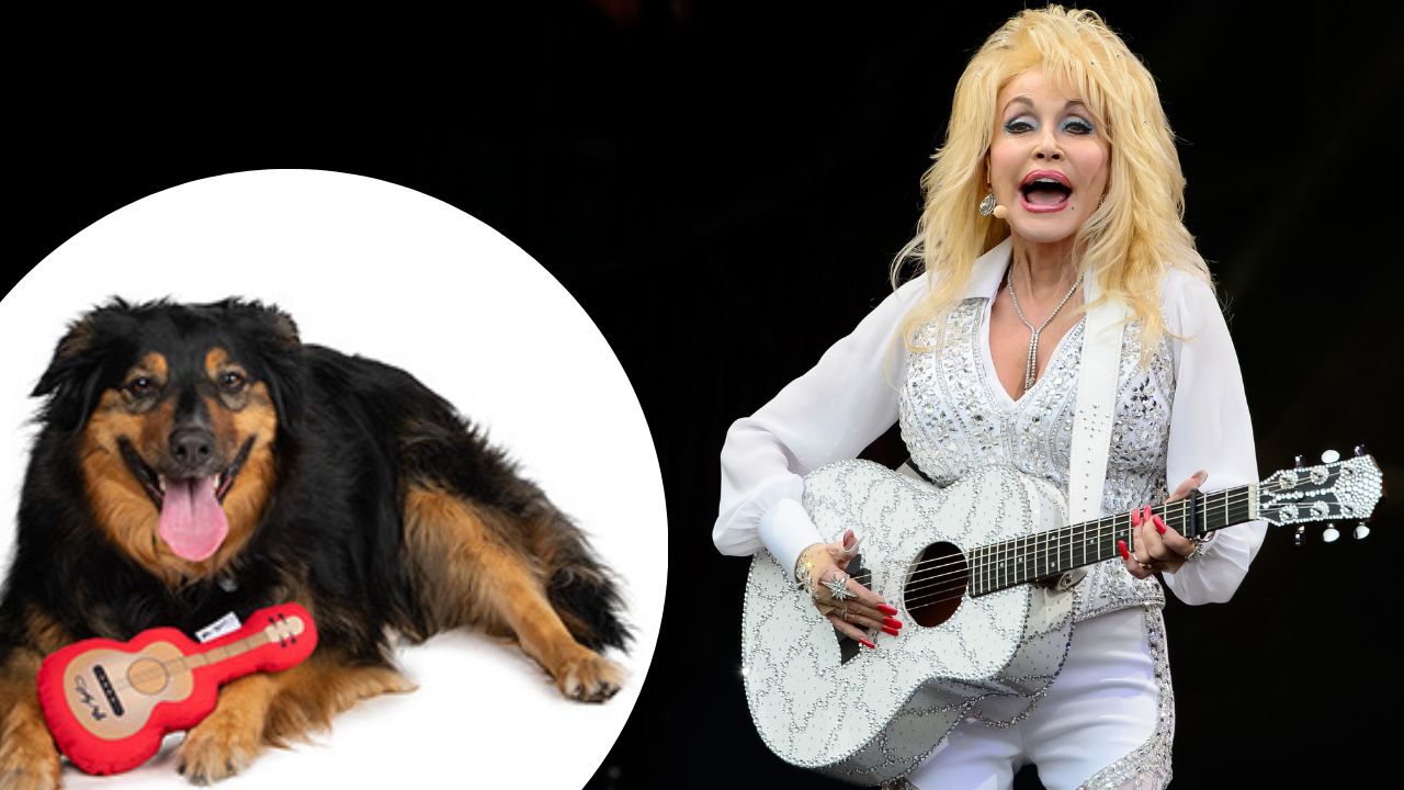 Dolly Parton’s pet collection “Doggy Parton” is now available in the UK