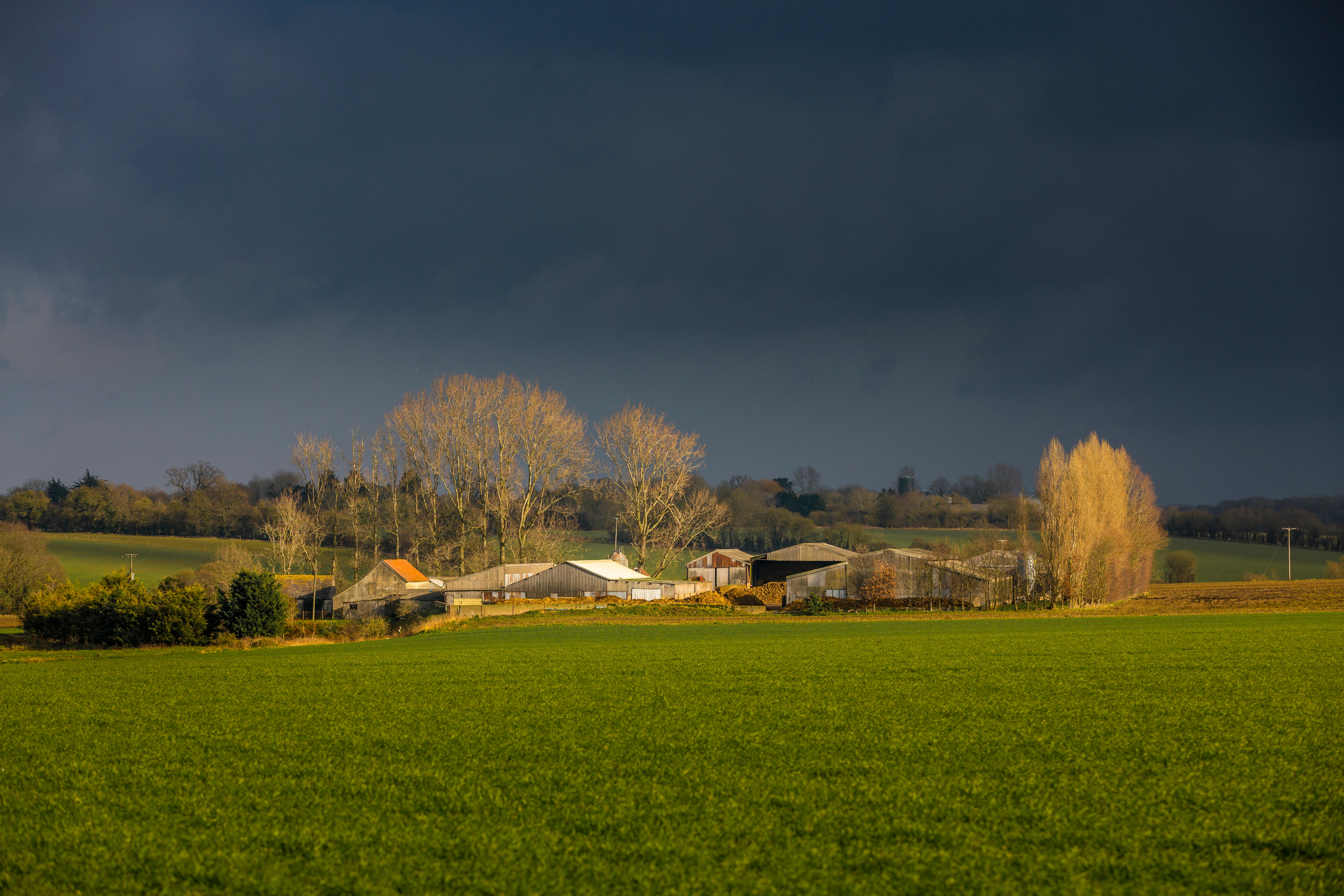Suffolk farmer says bad weather's negatively impacting crops