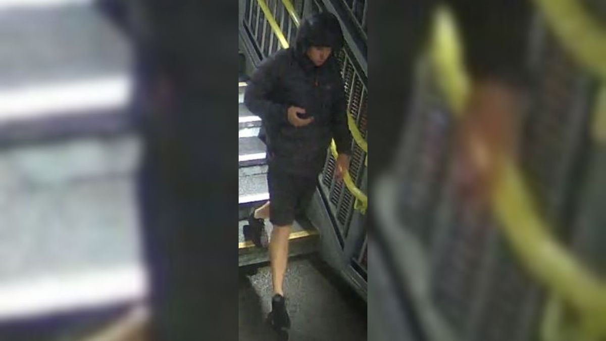 CCTV appeal after man exposed himself to woman at a train station