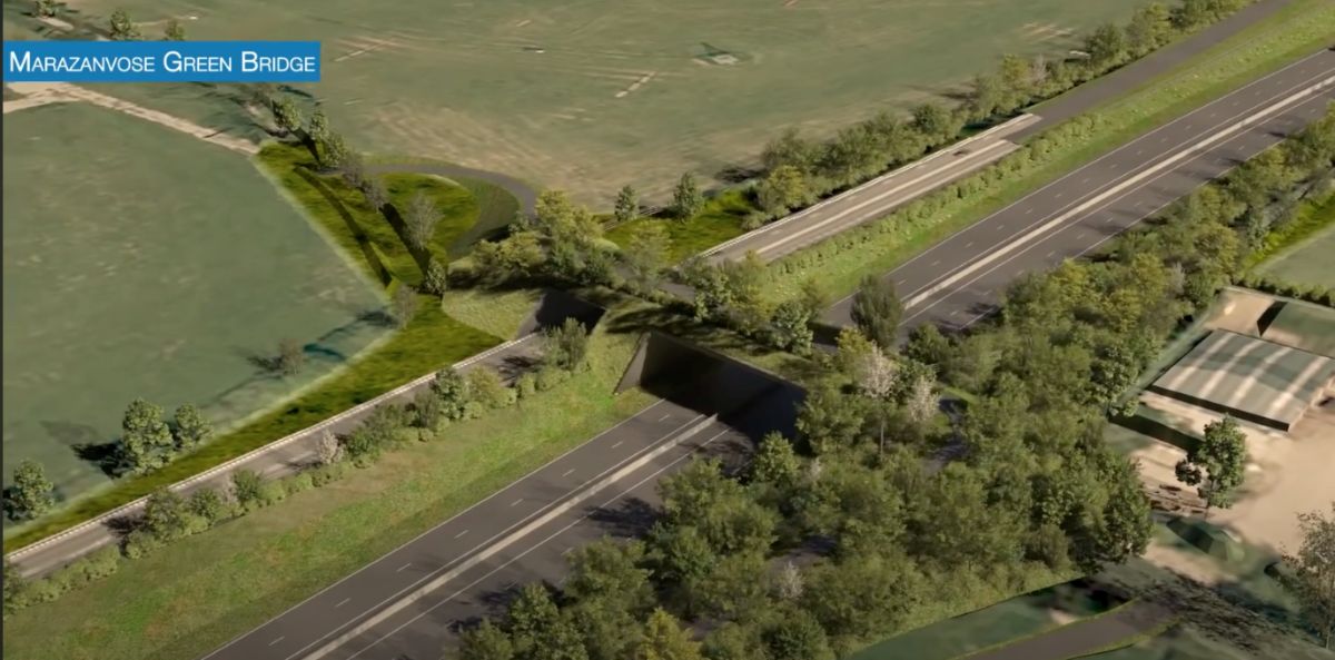 A30 Cornwall upgrade to create country’s seventh green bridge