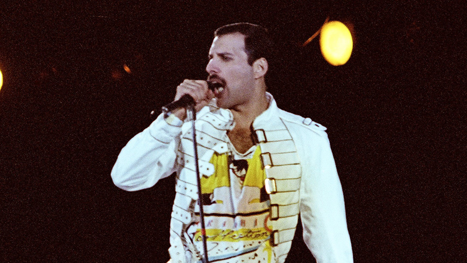 About Freddie