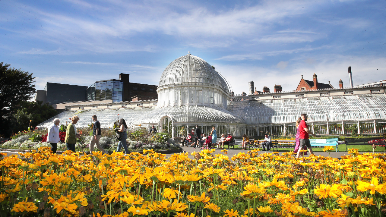 Belfast Botanic Gardens Fight 