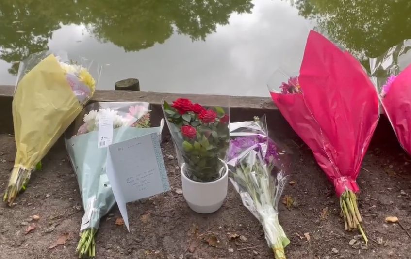 Woman released after death of girl, 2, found in Hampshire pond | News ...