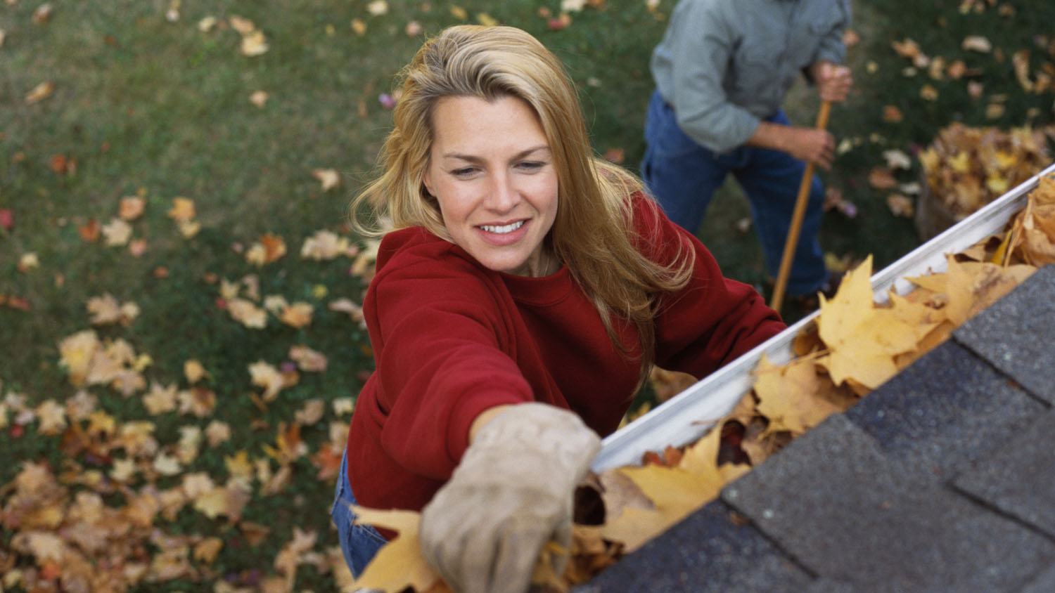 Top Tips To Prepare Your Home For The Autumn Months   Autumn Leaves 