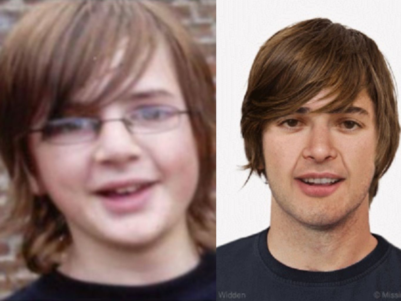 Andrew Gosden
