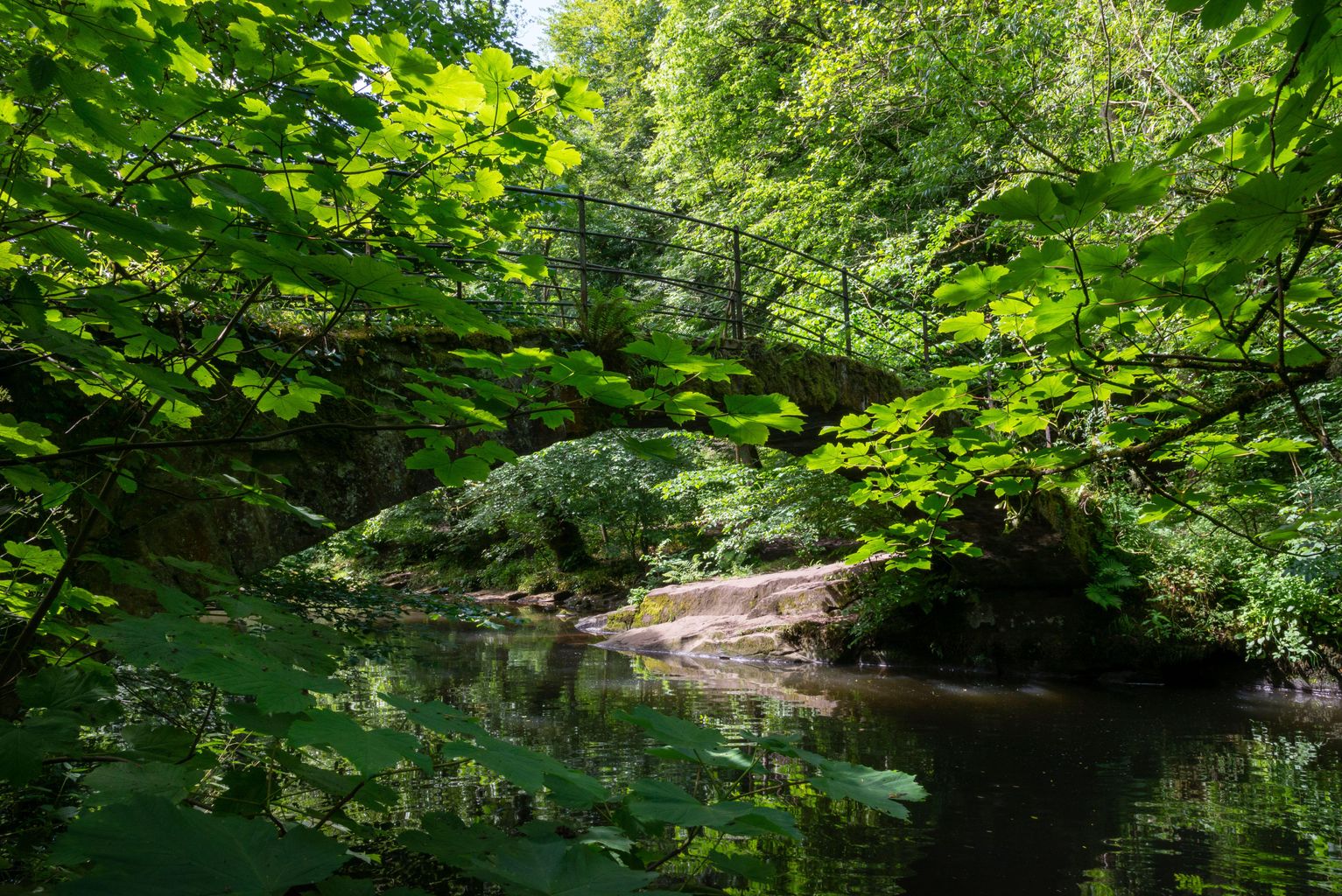 woman-who-died-in-derbyshire-river-suffered-sudden-cardiac-arrhythmia