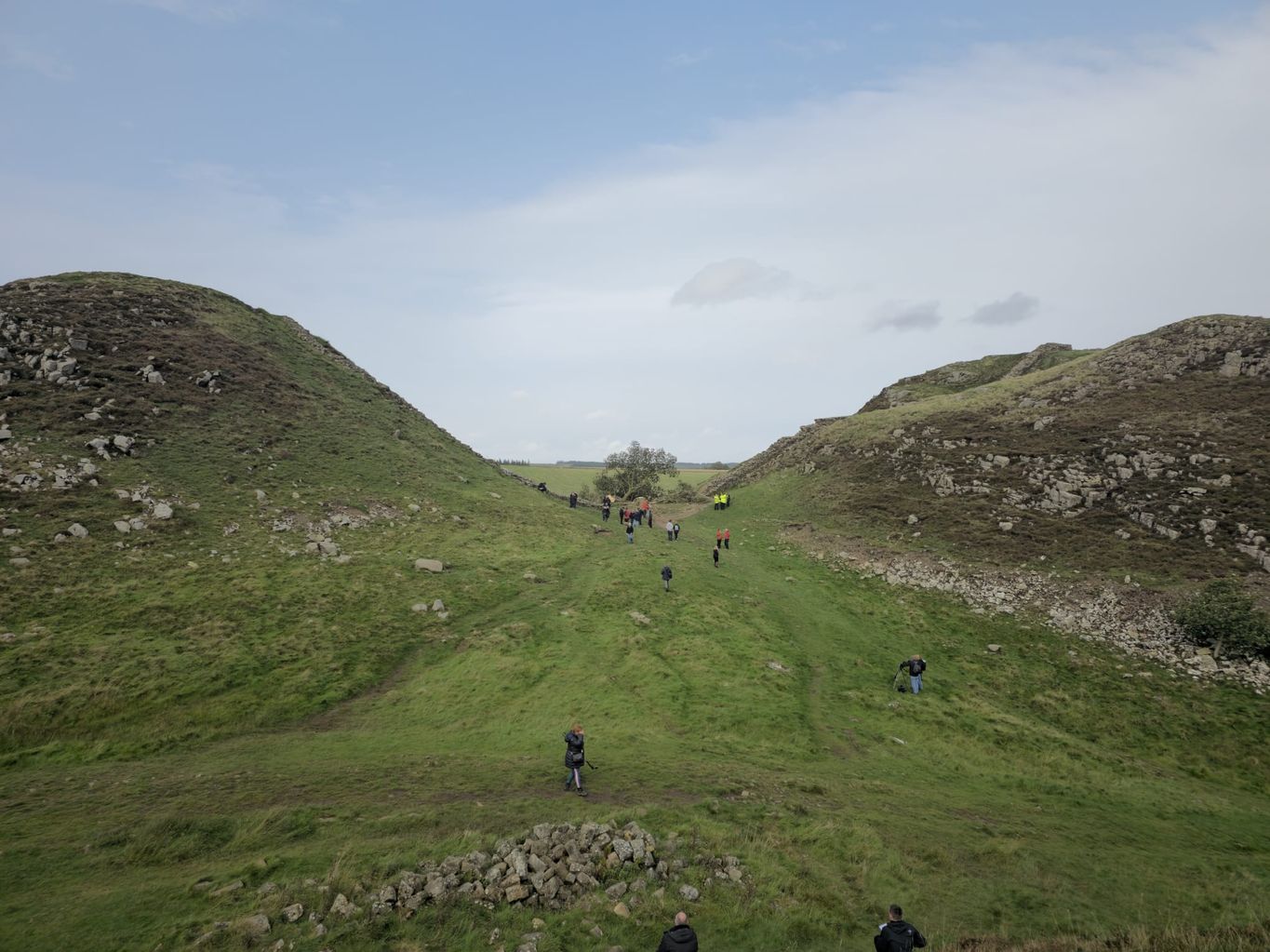 Sycamore Gap tree scene