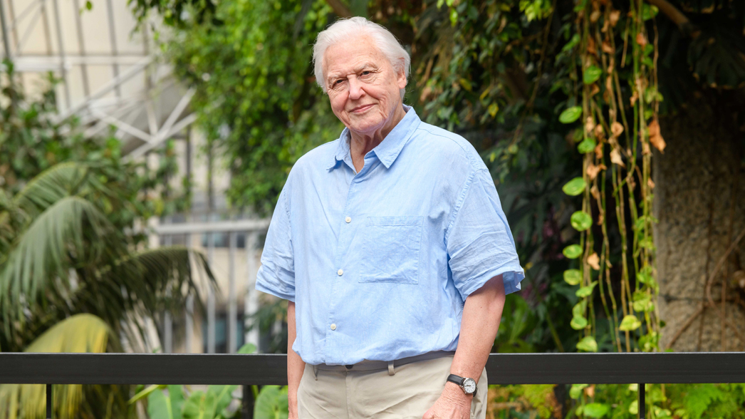 New waxwork of Sir David Attenborough coming to Madame Tussauds