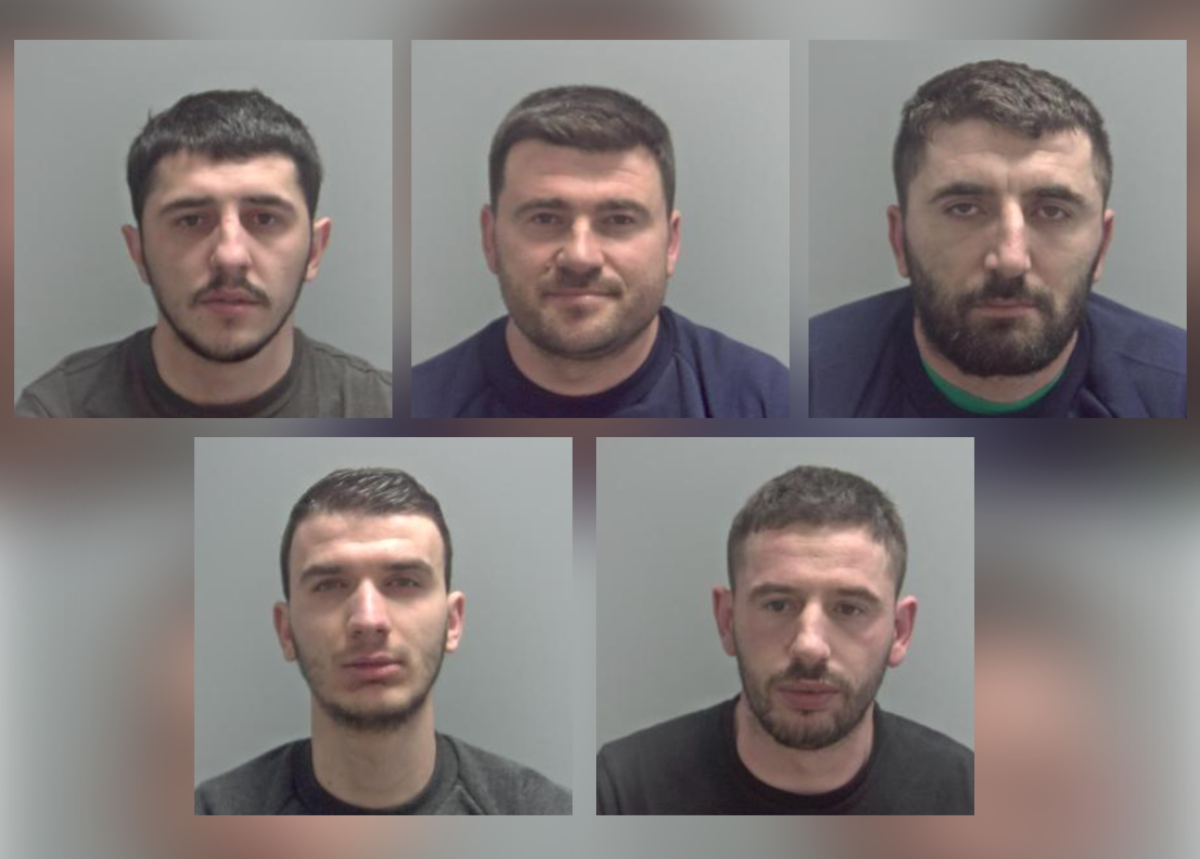 Five men jailed after cannabis factory discovered in Banham | News ...