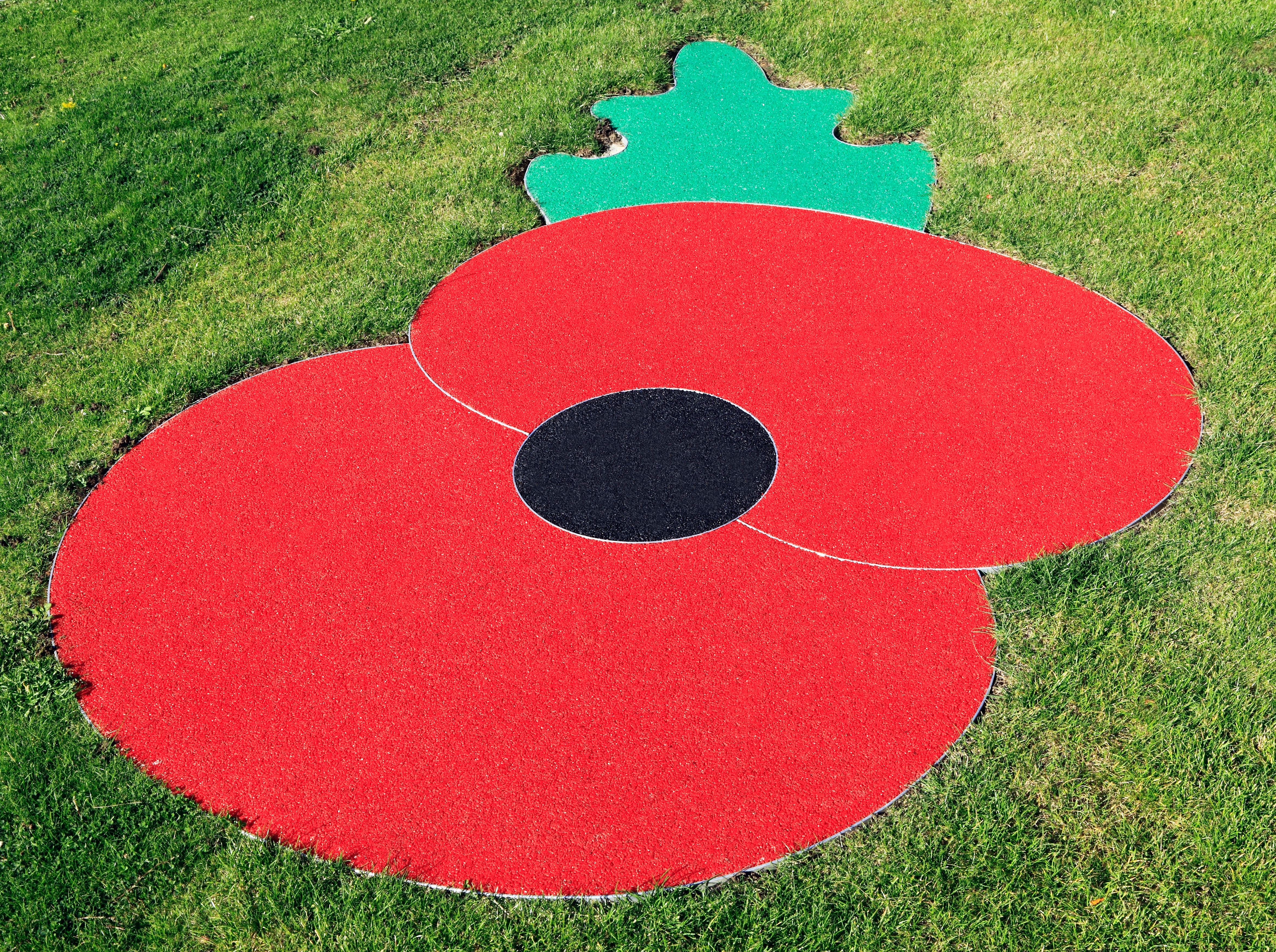 Poppy appeal goes plastic-free in first redesign for decades