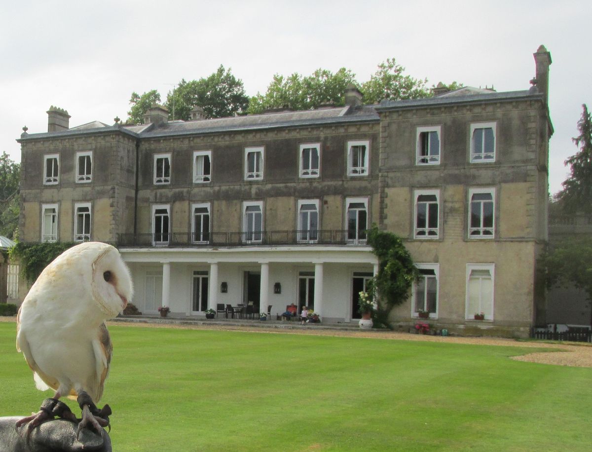 Historic England reveals heritage 'saved' and 'at risk' across the south