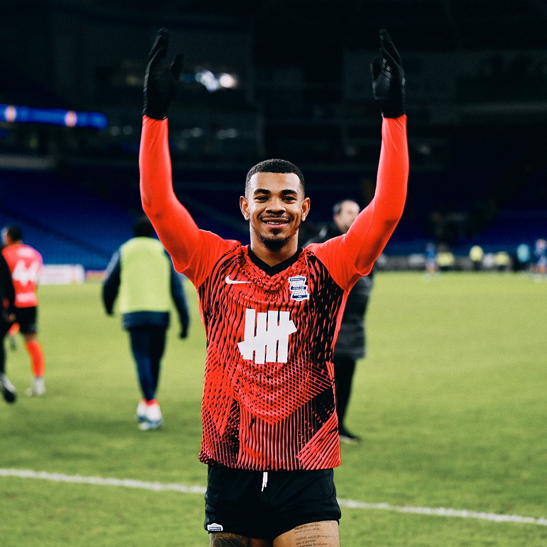 Cardiff City 0-1 Birmingham City: Juninho Bacuna gives Wayne