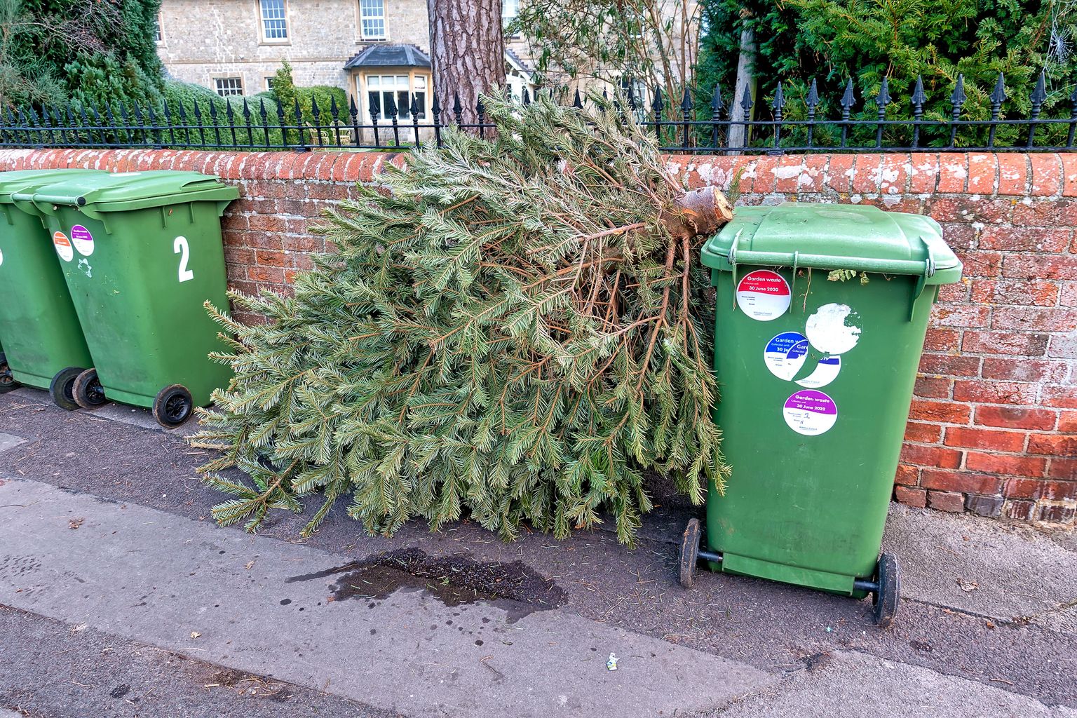 Berkshire hospice charity launches xmas tree recycling scheme