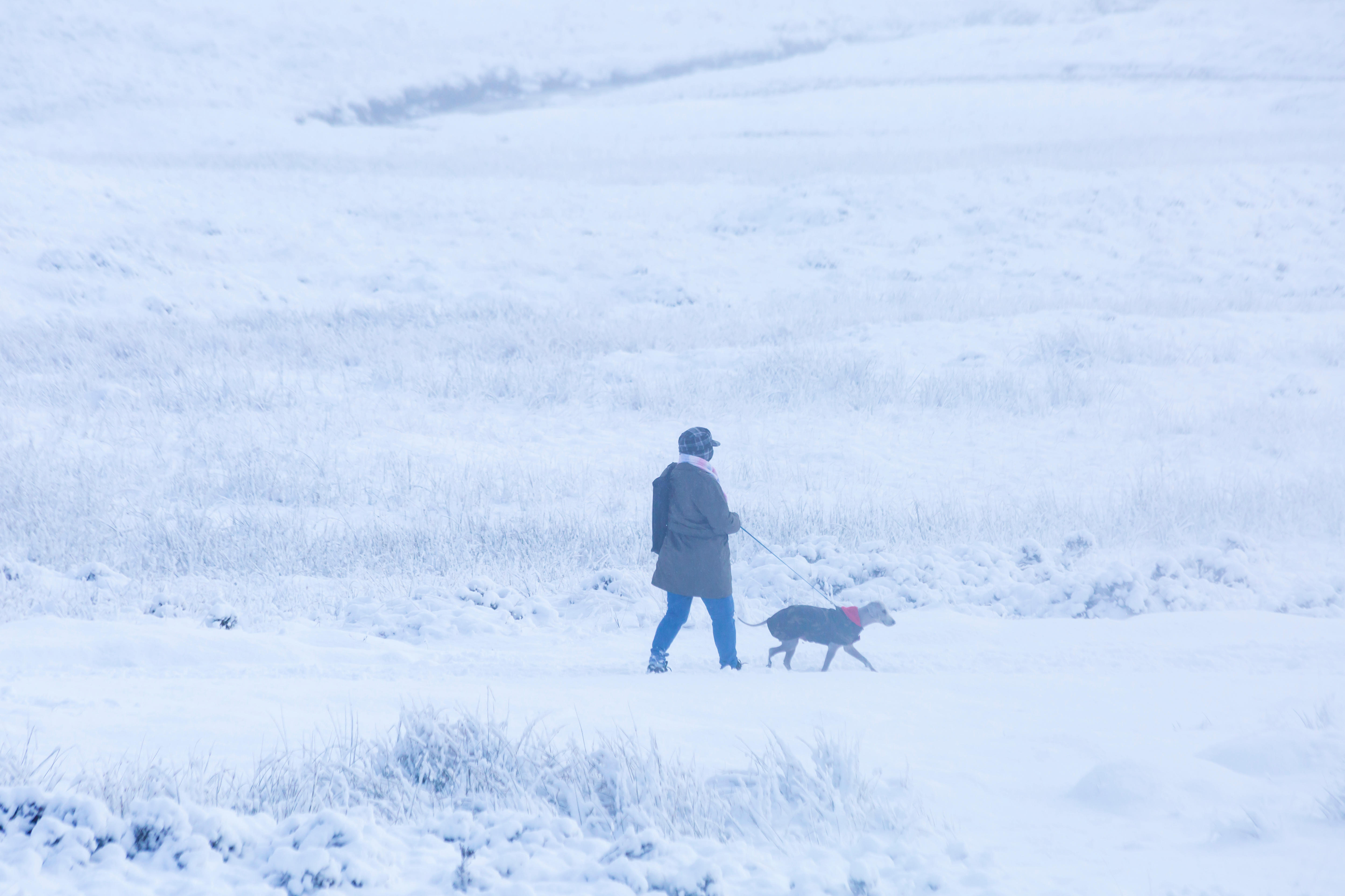 White Christmas Declared As Snow Falls In Scotland | News - Greatest ...