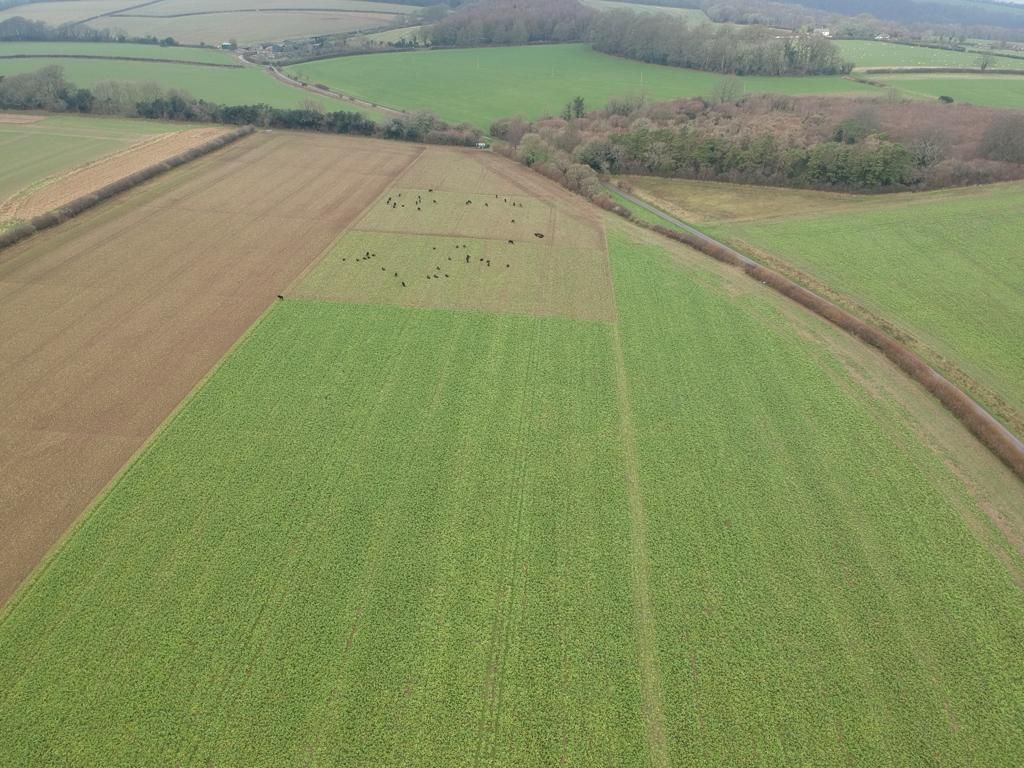 Dorset farmers to be paid hundreds to protect habitats