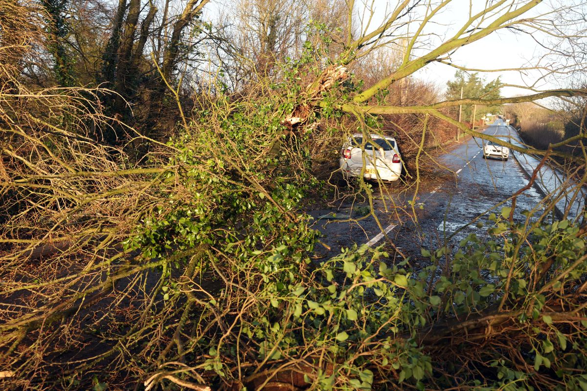 thousands of homes in NI still without power due to Storm Isha