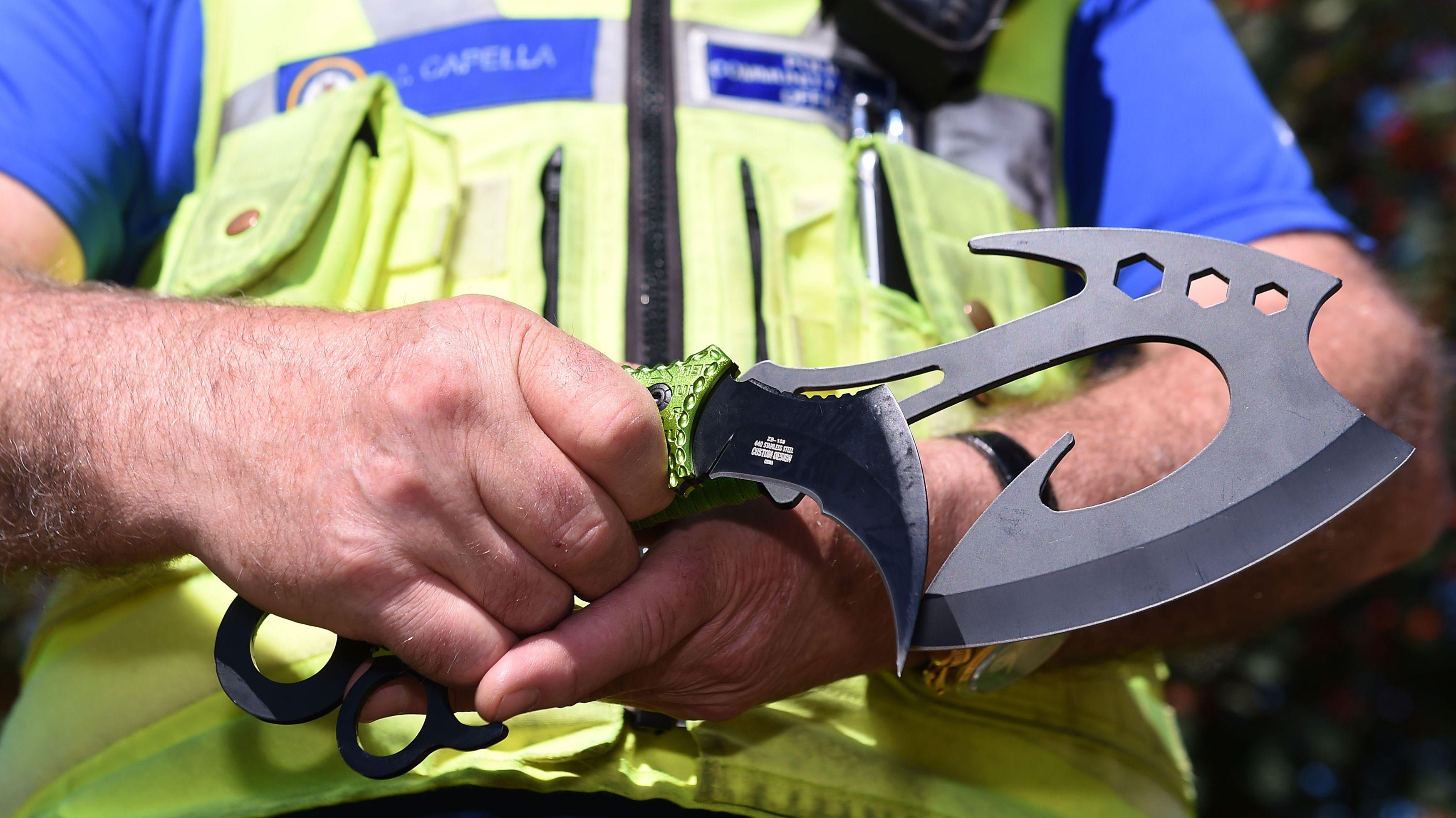 Ban on 'zombie knives' and machetes set to be fast-tracked by